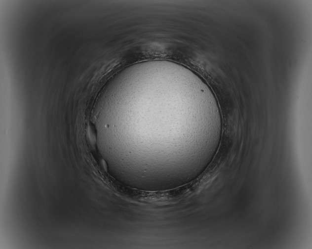 X0000086291201200704131539