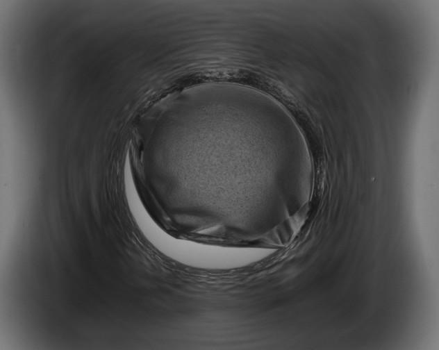 X0000086291202200704131539