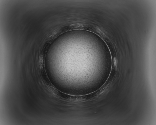 X0000086291203200704131539