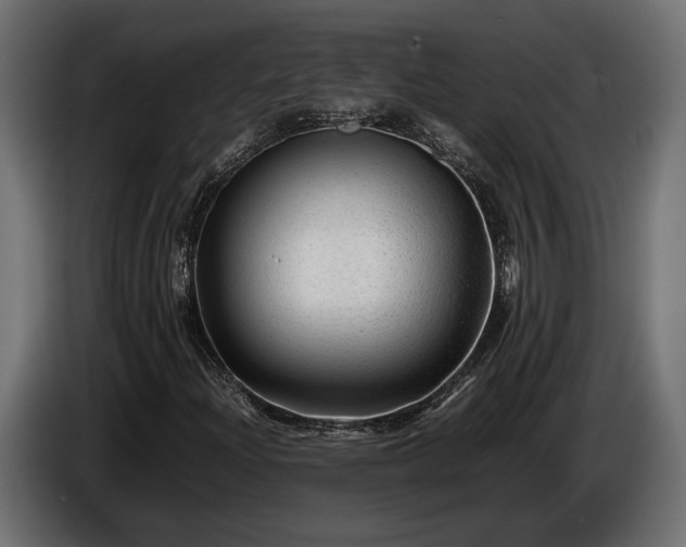 X0000086291204200704131539