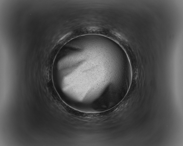 X0000086291205200704131539