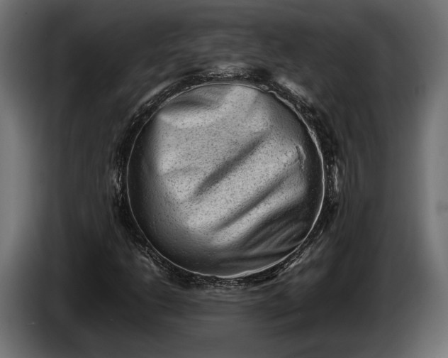 X0000086291206200704131539