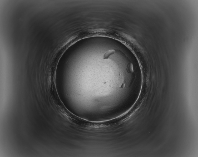 X0000086291209200704131539