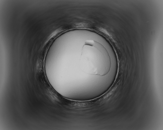 X0000086291211200704131539