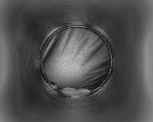 X0000086291212200704131540