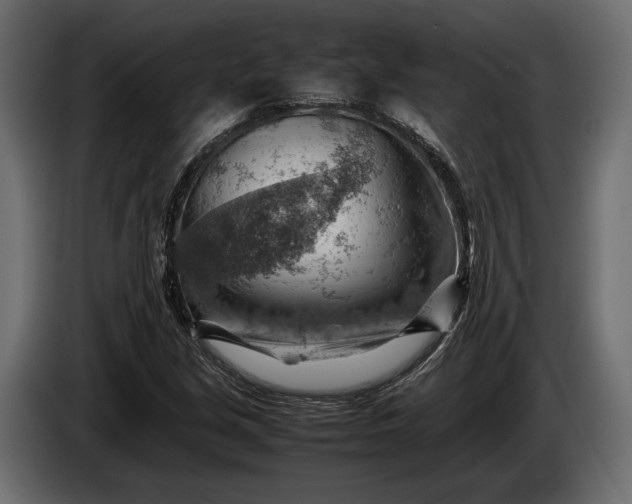 X0000086291213200704131540