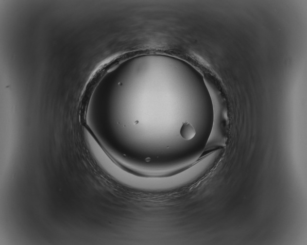 X0000086291214200704131540