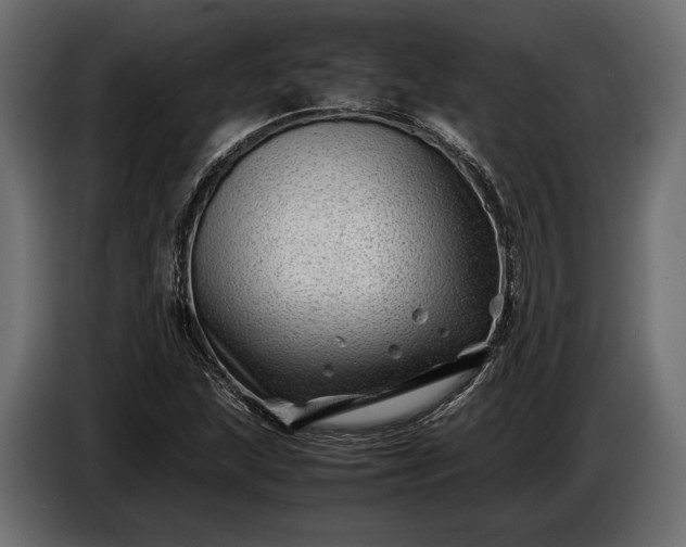 X0000086291215200704131540