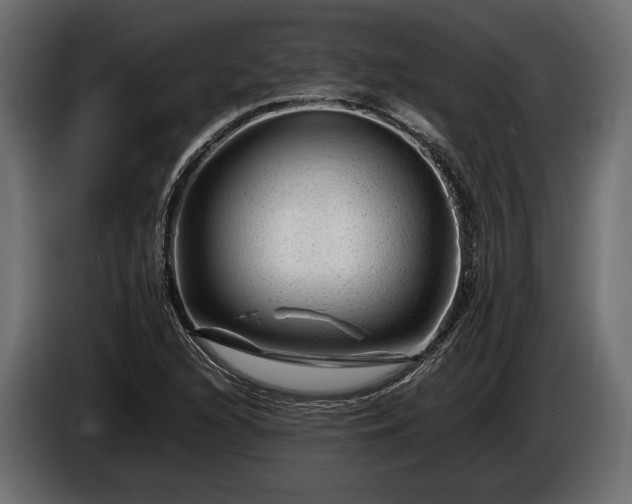 X0000086291216200704131540