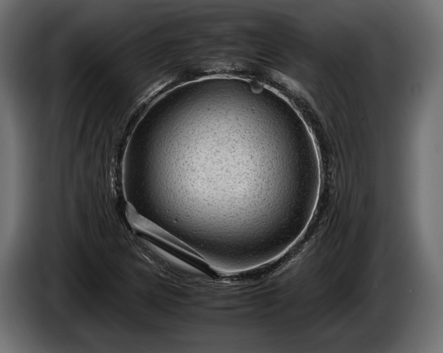 X0000086291217200704131540