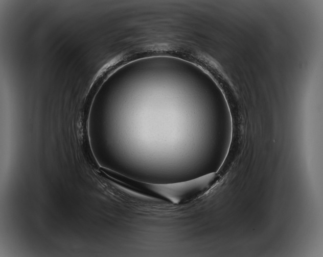X0000086291218200704131540