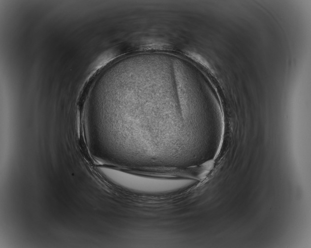 X0000086291219200704131540