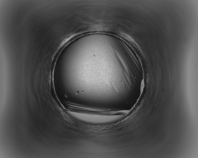 X0000086291220200704131540