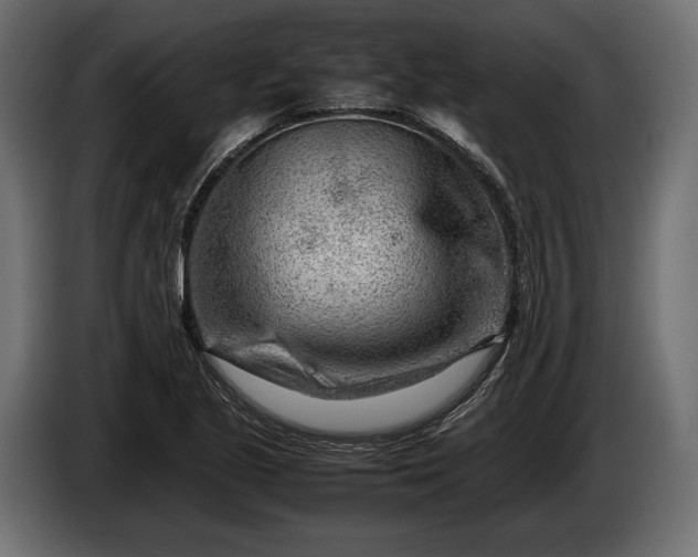 X0000086291221200704131540