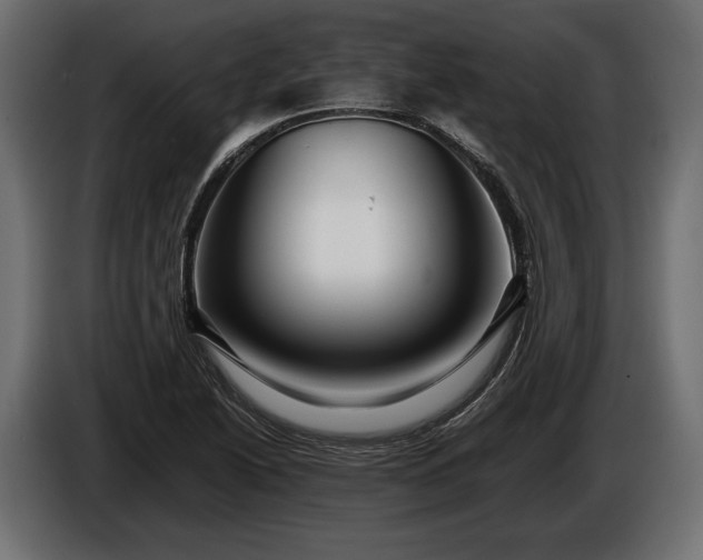 X0000086291222200704131540