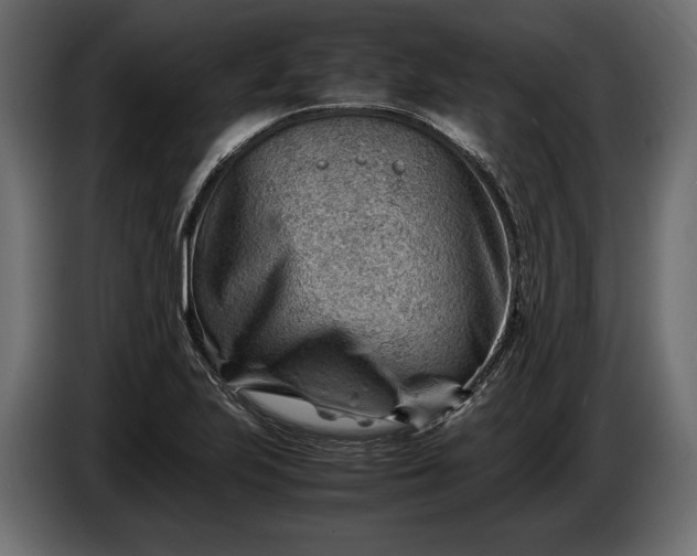 X0000086291223200704131540