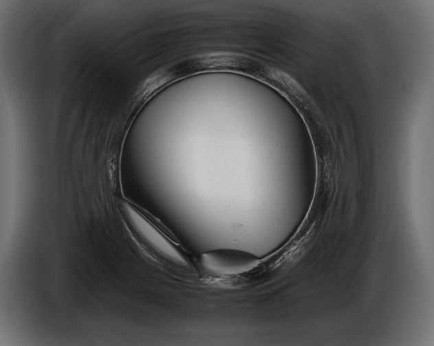 X0000086291225200704131540