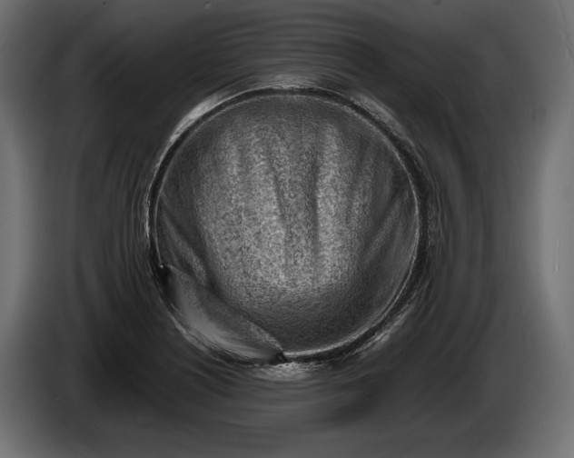 X0000086291226200704131540