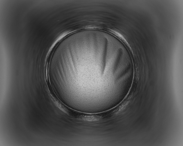 X0000086291227200704131540