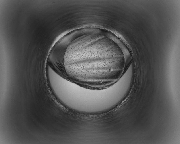X0000086291230200704131540