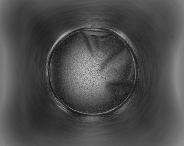 X0000086291232200704131540