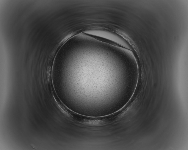 X0000086291233200704131540