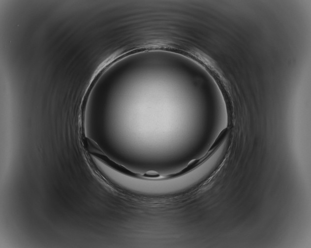 X0000086291234200704131540