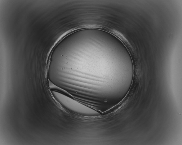 X0000086291236200704131540