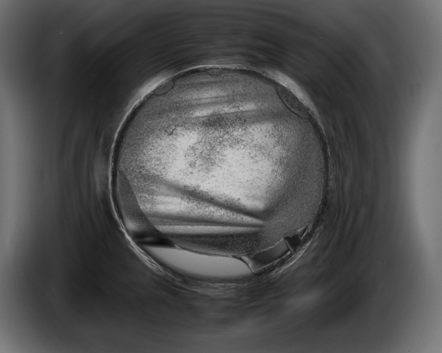 X0000086291237200704131540