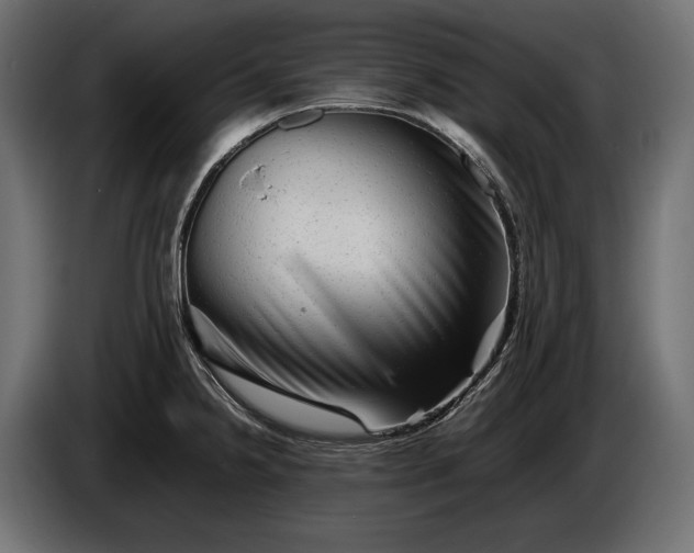 X0000086291238200704131540