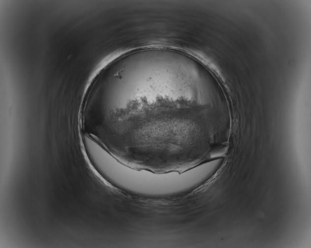 X0000086291239200704131540