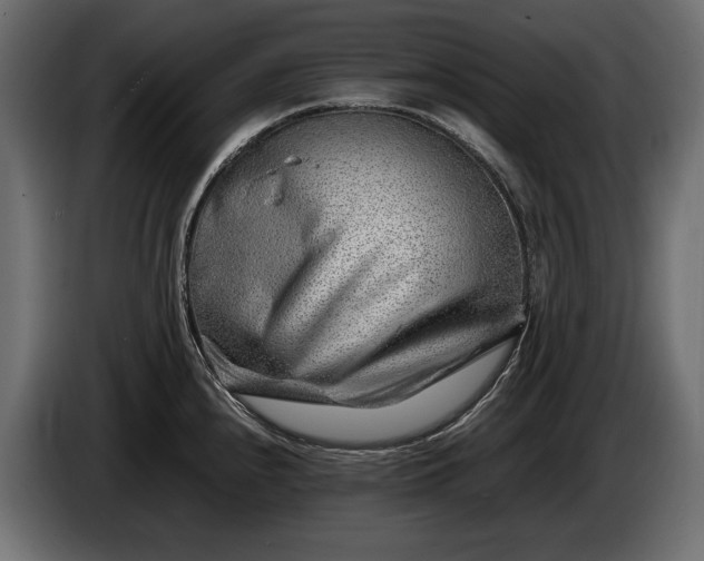 X0000086291240200704131540