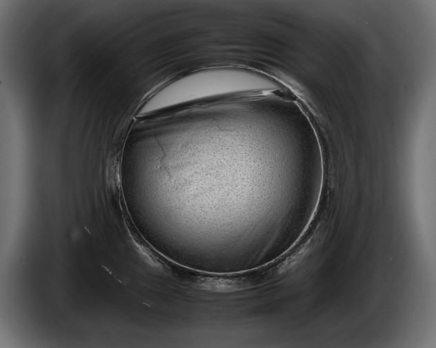 X0000086291241200704131540