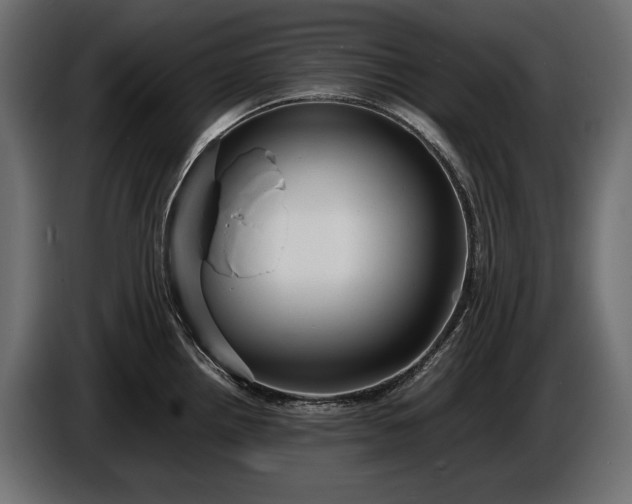 X0000086291242200704131540