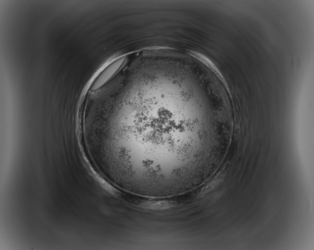 X0000086291243200704131540