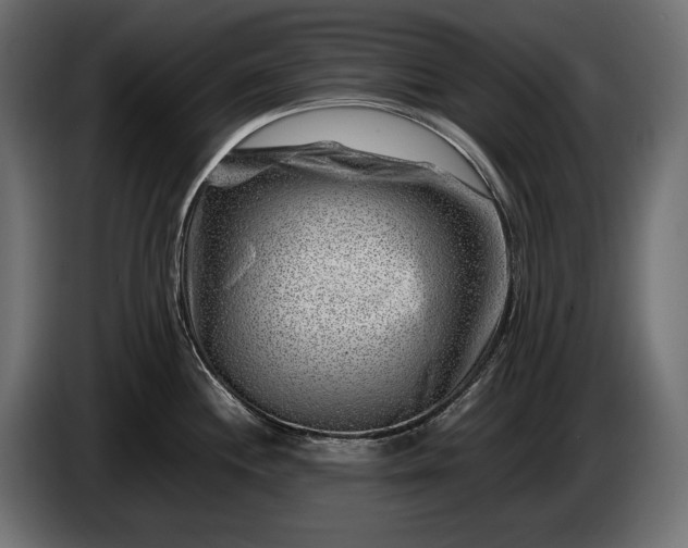 X0000086291244200704131540