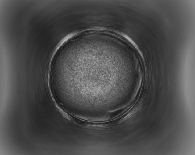 X0000086291245200704131540
