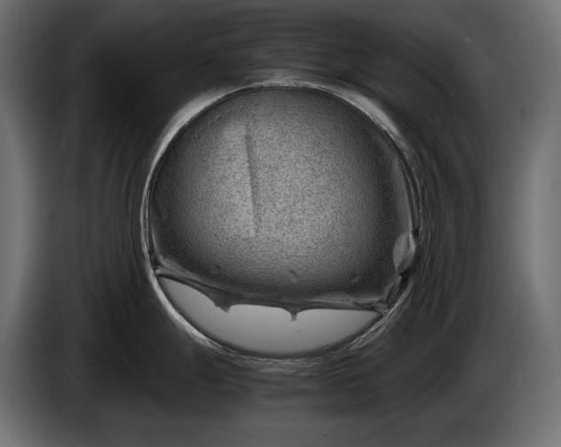 X0000086291247200704131540