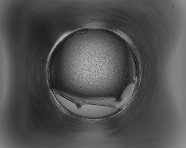 X0000086291248200704131540