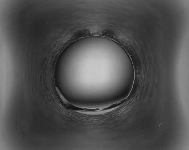 X0000086291249200704131539