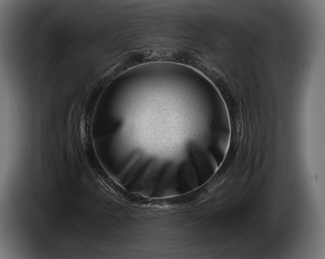 X0000086291250200704131539