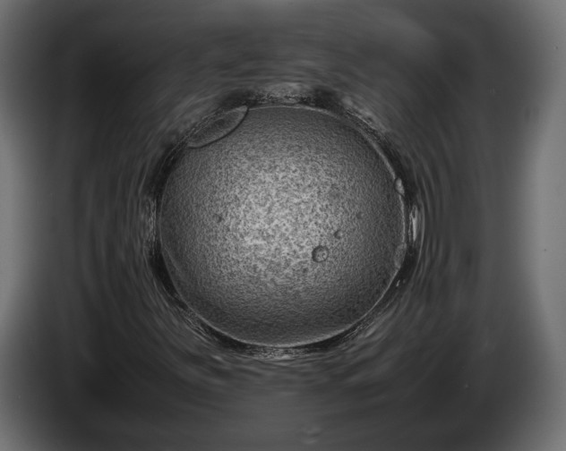 X0000086291251200704131539