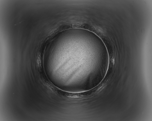 X0000086291252200704131539