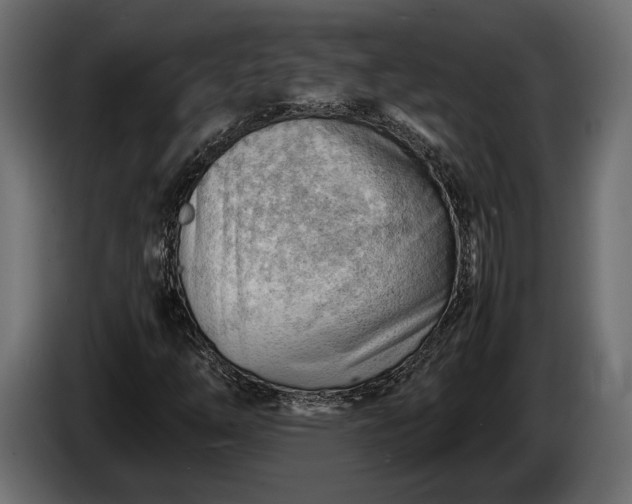 X0000086291254200704131539