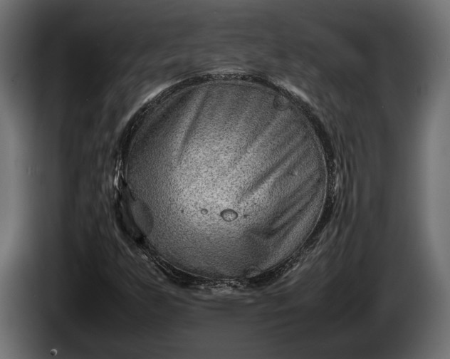 X0000086291255200704131539
