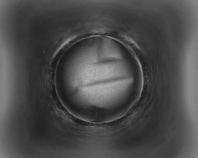 X0000086291256200704131539