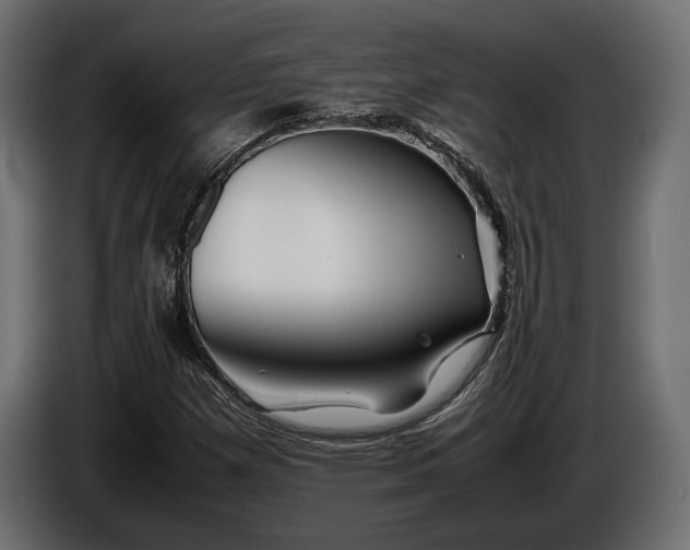 X0000086291257200704131539