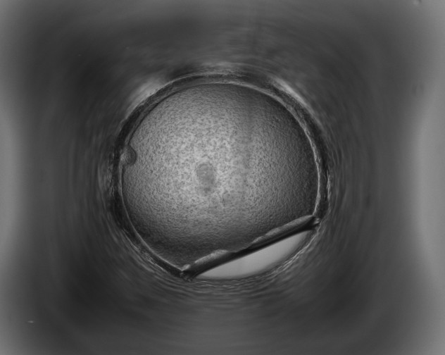 X0000086291259200704131539