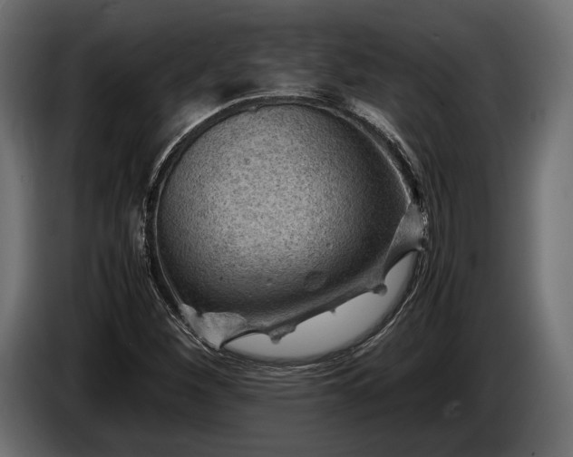 X0000086291260200704131539