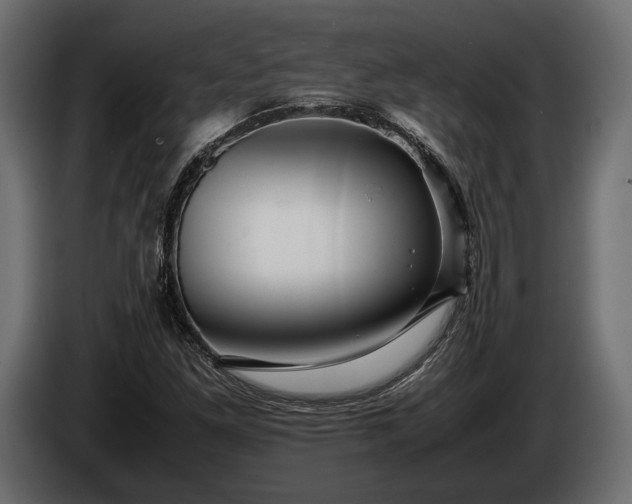 X0000086291261200704131539